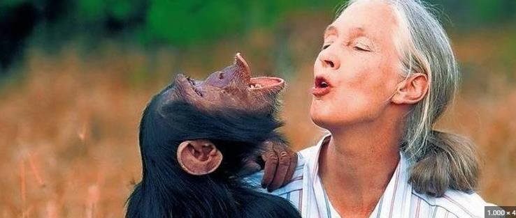 Jane Goodall