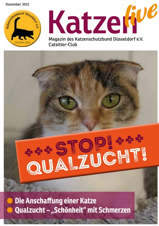Katzen Qualzucht