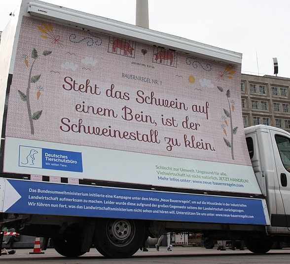 Schwein auf einem Bein