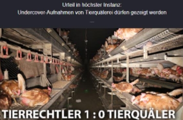 Tierquälereirecherche darf angezeigt werden